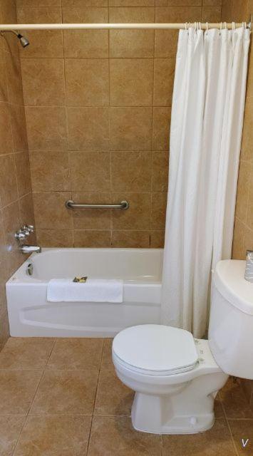 וואווה White Fang Motel מראה חיצוני תמונה